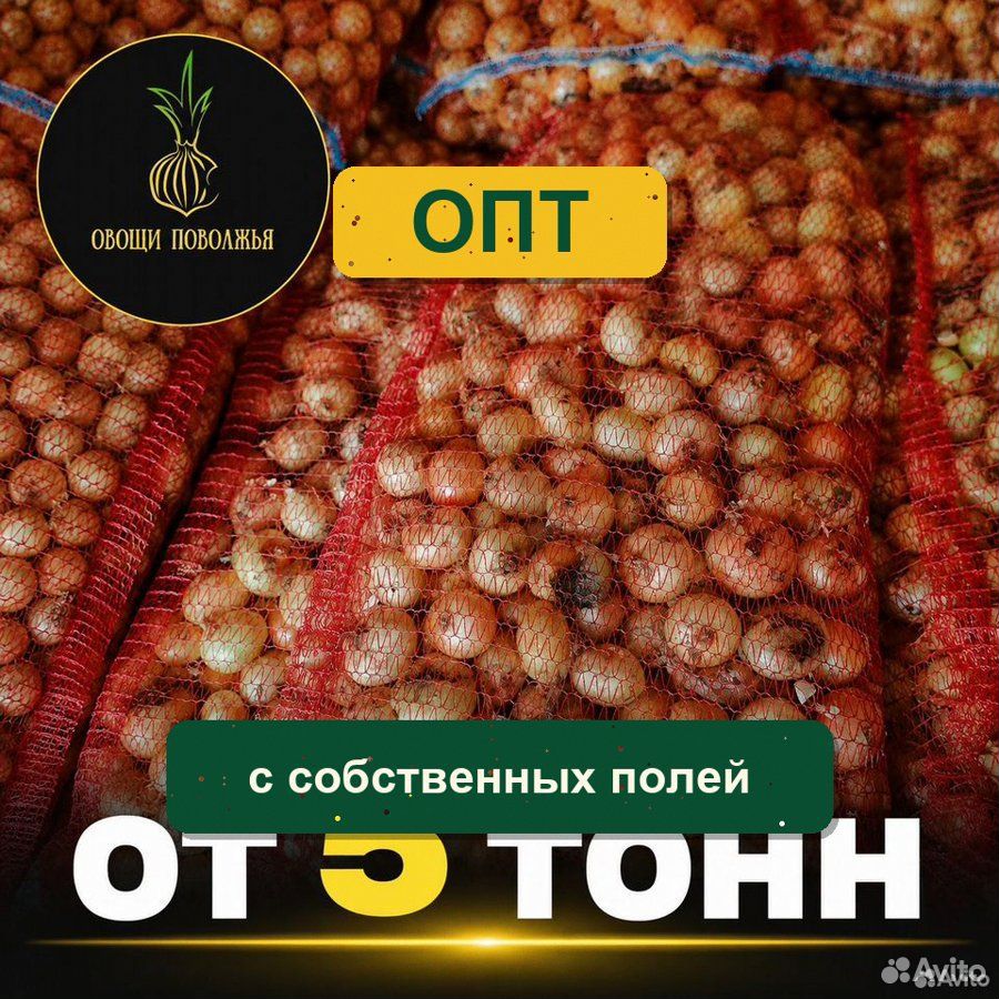 Лук на перо, Астрахань
