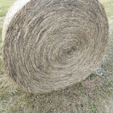 Продам сено, солому пшеничную в рулонах