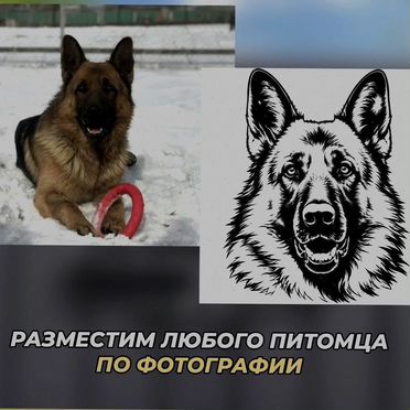 Портрет-табличка собаки на ворота