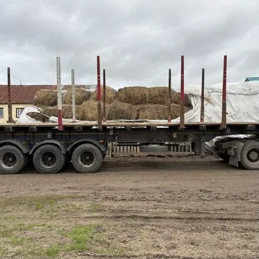Полуприцеп лесовоз (сортиментовоз) Meusburger Новтрак SW-240H, 2011