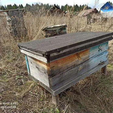 Улья