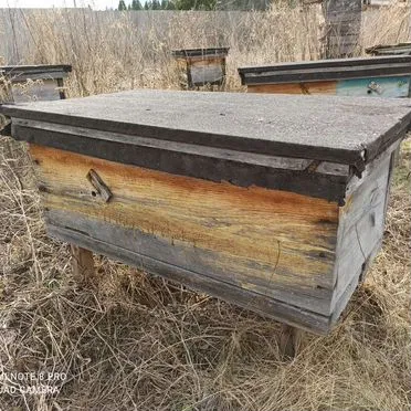 Улья